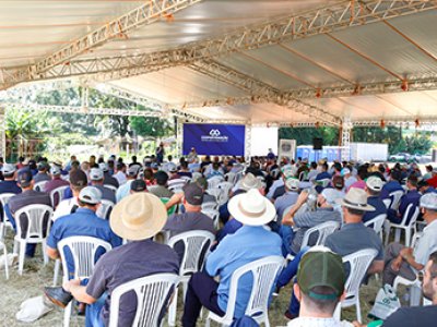 dia-de-campo-de-verao-coopertradicao-apresenta-grandes-variedades-para-a-proxima-safra