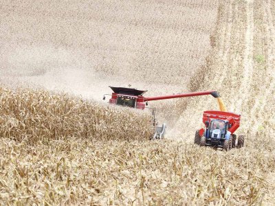 safra-cheia-e-estoques-dao-seguranca-alimentar-ao-parana-diante-do-coronavirus