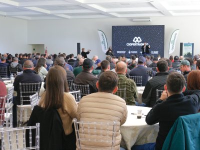 coopertradicao-e-ibrafe-promovem-pulse-day-sobre-a-cultura-do-feijao