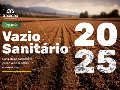 confira-as-datas-do-vazio-sanitario-da-soja