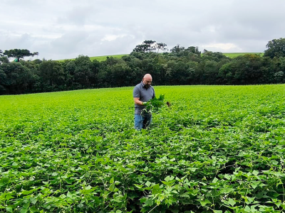 cooperativa-tradicao-acompanha-de-perto-o-desenvolvimento-das-lavouras