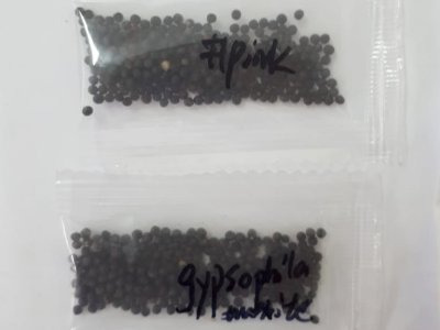 adapar-alerta-sobre-recebimento-de-sementes-nao-encomendadas