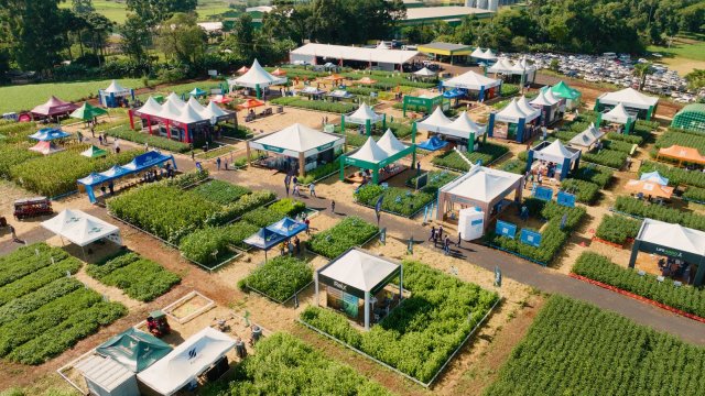 dia-de-campo-de-verao-acontece-na-proxima-semana