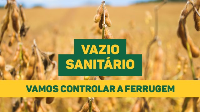 vazio-sanitario-ja-esta-em-vigor-no-parana-e-santa-catarina