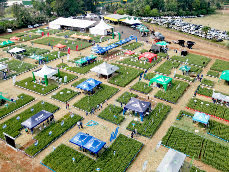 Coopertradi��o Realiza 6� Edi��o do Dia de Campo de Inverno