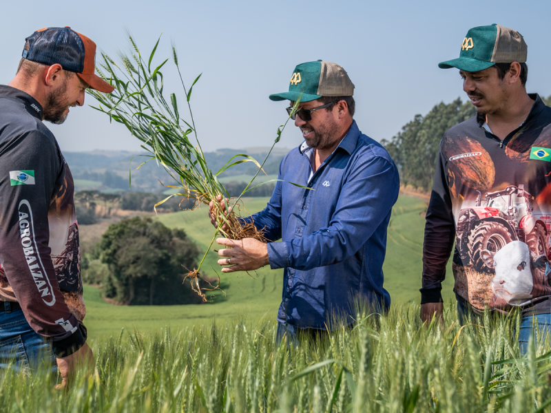 Seguro safra de inverno e m�quinas agr�colas