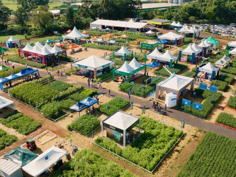 Dia de Campo de Ver�o acontece na pr�xima semana