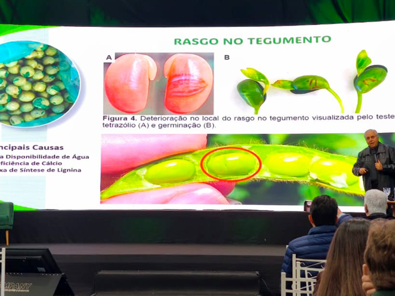 Tradi��o Sementes acompanha de perto as inova��es do setor em Congresso