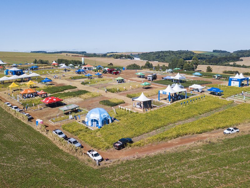 Dia de Campo da Coopertradi��o traz culturas de Soja e Milho e tamb�m momento para pecuaristas. 