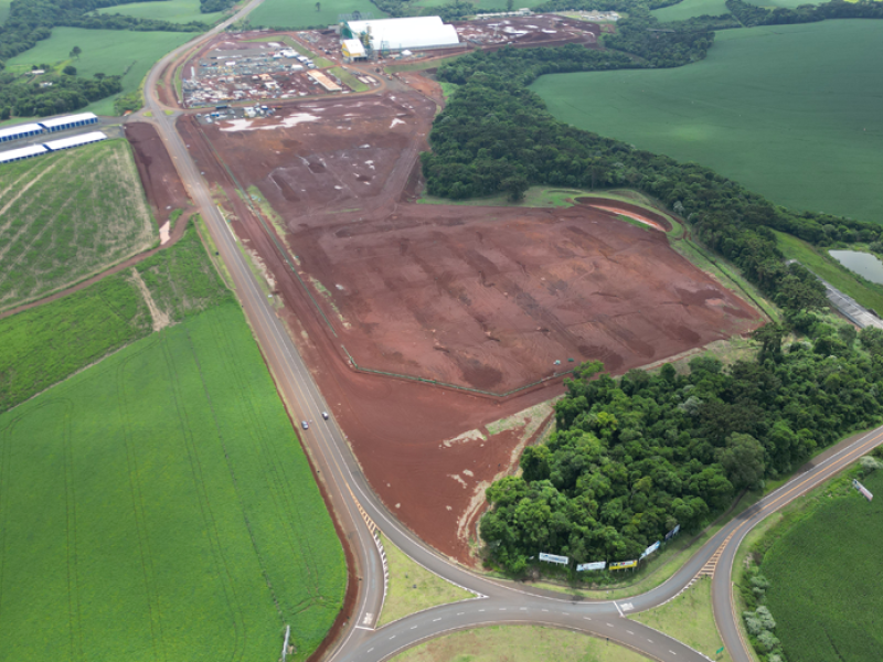 Semana do Meio Ambiente ter� plantio de esp�cies nativas em Pato Branco