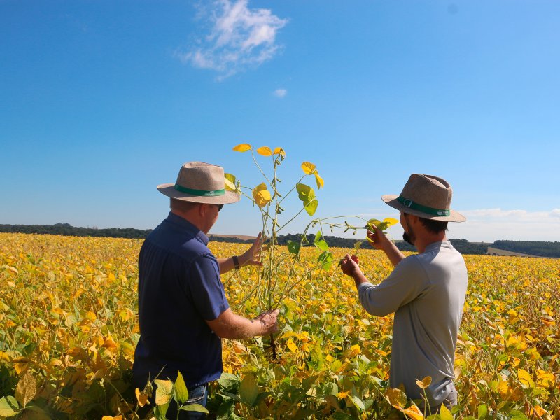Assist�ncia T�cnica especializada garante maior rentabilidade para cooperados