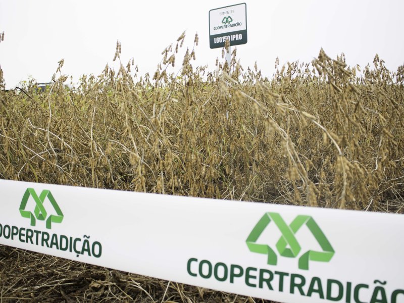 Sementes Coopertradi��o promove dia de campo em Pato Branco