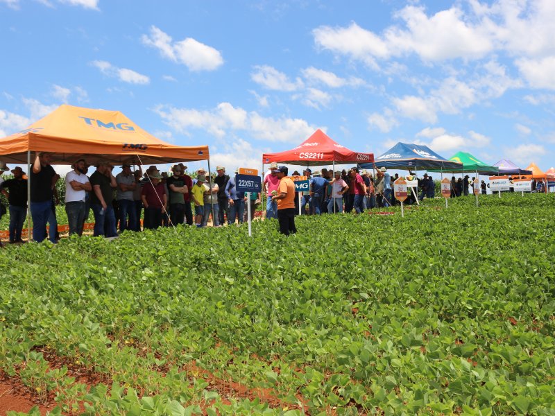 Coopertradi��o re�ne clientes e produtores de sementes em edi��o especial de Dia de Campo
