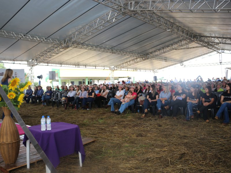 Dia de Campo de Ver�o re�ne 50 empresas expositoras e mais de mil cooperados 