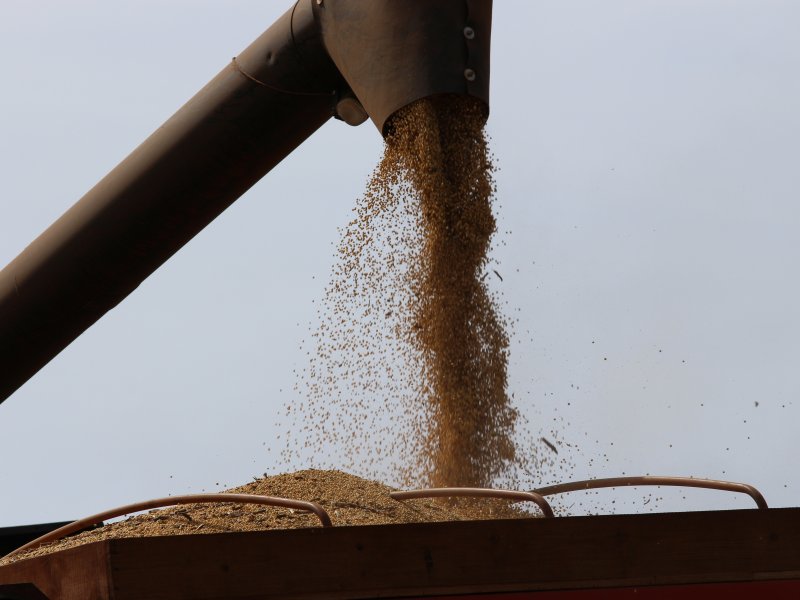 Pre�os de soja e milho beneficiam produtores no Paran�