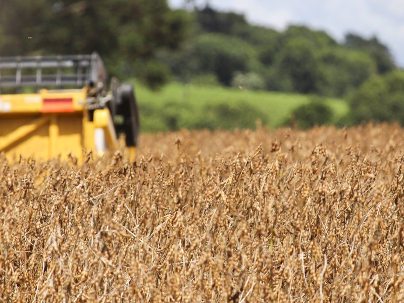 No Sudoeste, agroneg�cio garante seguran�a alimentar e gira economia
