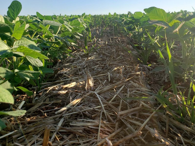 Coopertradi��o contribui para a realiza��o de projeto de pesquisa do IDR- Pato Branco e UTFPR