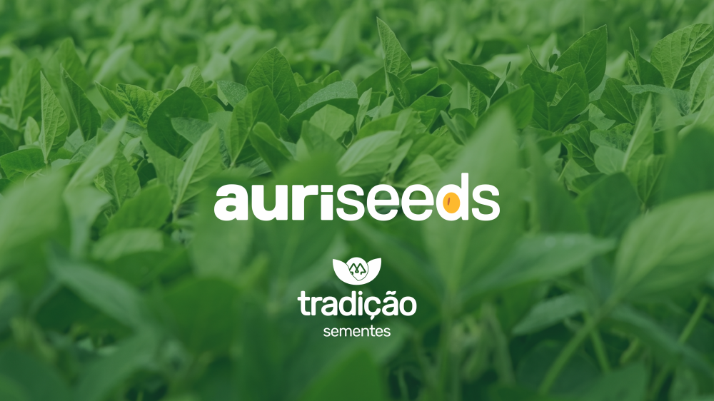Tradi��o Sementes lan�a plataforma AuriSeeds